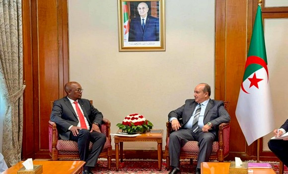 Le Premier ministre par intérim reçoit le ministre du Commerce, de l'Industrie et de la Concurrence de la République d'Afrique du Sud