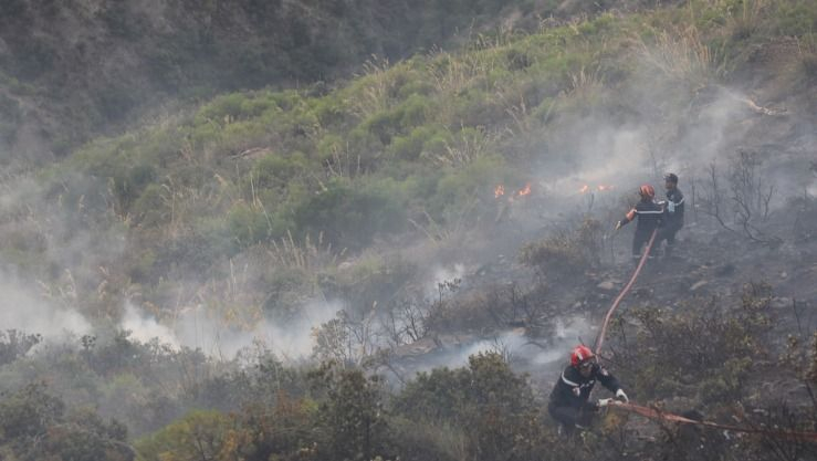 تسجيل 28 حريقًا للغطاء النباتي عبر 8 ولايات
