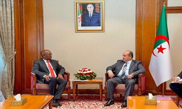 الوزير الأول بالنيابة يستقبل وزير التجارة والصناعة والمنافسة لجمهورية جنوب إفريقيا