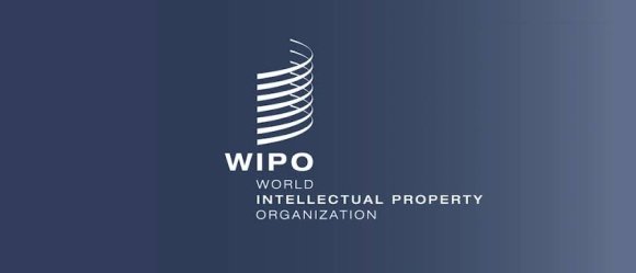 ملكية فكرية: الويبو تطلق برنامج تدريبي عن بعد مفتوح للجزائريين