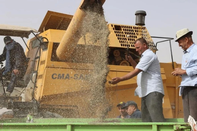 تسجيل أول تجربة ناجحة في الزراعات الزيتية بتيسمسيلت ...انطلاق حصاد دوار الشمس على مساحة 12 هكتارا