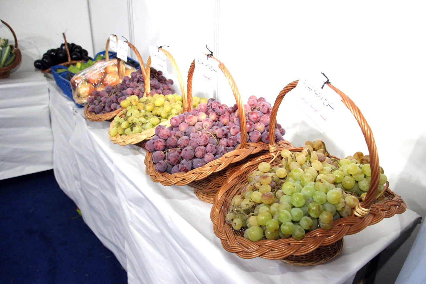Algérie (Sétif) - Salon International de l’Agriculture et de la production végétale: Une opportunité pour la promotion de la production nationale