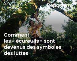 Planète (France/Europe) - Comment les «écureuils» sont devenus des symboles des luttes