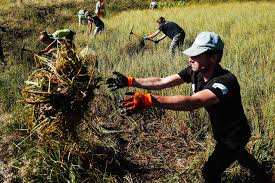Planète (France/Europe) -  «C’est impressionnant comme le vivant revient vite»: après la sécheresse, des bénévoles à la rescousse des mares