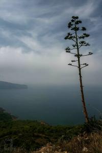 Le Cap Noé et la Table Interdite : L’Algérie, Refuge Secret des Prophètes du Déluge ?