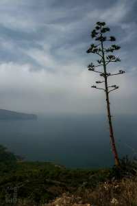 رأس نوح وطاولة نوح: هل منطقة الطرارة كانت ملجأ سريا لسيدنا نوح بعد الطوفان؟