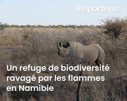 Planète (Afrique) - Un refuge de biodiversité ravagé par les flammes en Namibie
