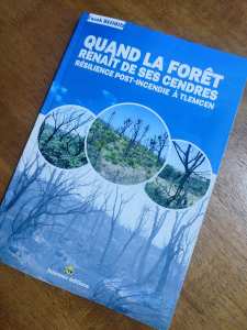 Quand la forêt renaît de ses cendres — Résilience post-incendie à Tlemcen