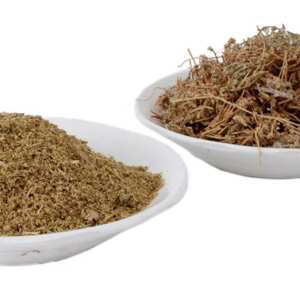 Les bienfaits de Spergularia rubra (Ftat El-Hajar / Ksar El-Hajar) selon les connaissances actuelles