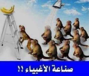 La fabrication des imbéciles !