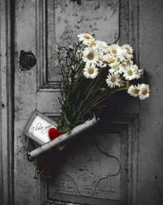 Les jours sont éphémères et l'aube incertaine.