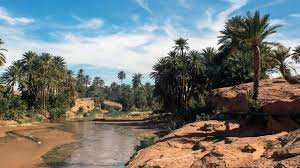 Algérie (Tiout/Naâma) -  Vaste opération d’aménagement de l’oasis