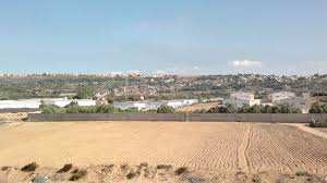 Algérie (Wilaya de Mostaganem) - Opération de récupération des terres agricoles abandonnées