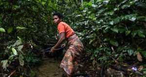 Planète (Asie) - Les derniers chasseurs-cueilleurs de Thaïlande revendiquent leur droit aux terres