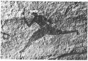 صدور كتاب هام حول الفن الصخري في التيفيدست: تاريخ ما قبل التاريخ في الأهقار – الفن الصخري في التيفيدست