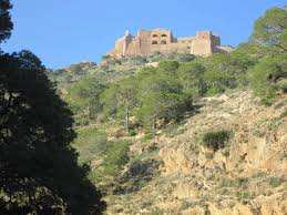 Algérie (Oran) - Pour la sauvegarde de la forêt de Murdjadjo: Une mobilisation citoyenne exemplaire