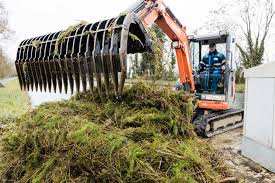 Planète (France/Europe) - «On ne sait pas l’arrêter»: une plante exotique envahit les canaux français