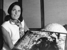 Planète (Afrique) - Comment Dian Fossey, assassinée au Rwanda il y a 40 ans, a-t-elle sorti les gorilles de la brume ?