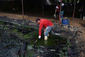 Planète (Amérique du Sud) - 5 raisons de ne pas extraire le pétrole du Venezuela