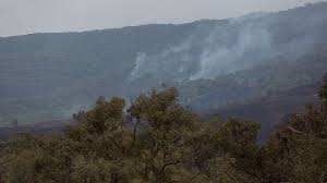 Planète (Océanie) - Incendies en Australie: les autorités déclarent l'état de catastrophe dans le sud-est du pays