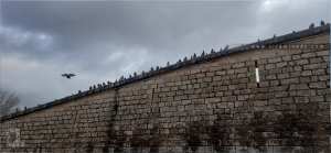 Fortifier, détruire, reconstruire : les murailles de Tlemcen à l’épreuve de la période coloniale (1842-1962)