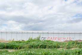 Planète (France/Europe) - Pesticides interdits: prison ferme requise contre «le roi de la salade»