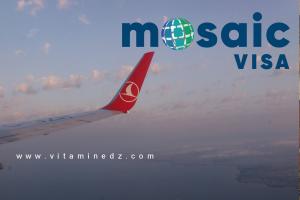Visa Turquie : la nouvelle plateforme Mosaic sous pression, les Algériens face à une pénurie de rendez-vous