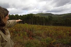 Planète (Europe) - En Espagne, ils rendent leur terre moins vulnérable aux incendies
