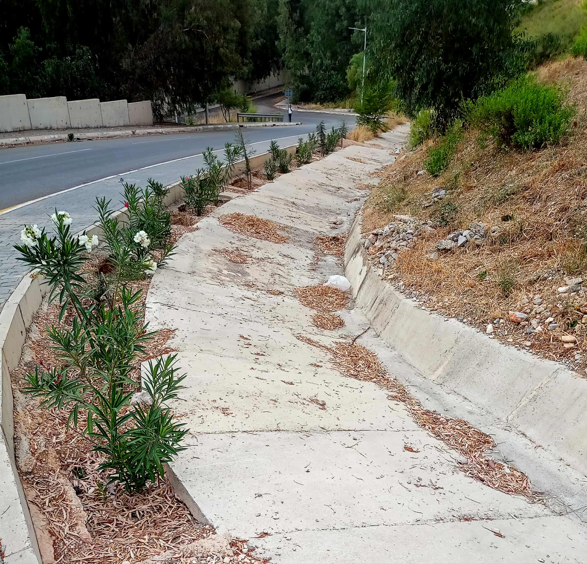 Algérie (Constantine)  - Dégradation d'un espace vert citoyen: Djenane Ballout el Akhdar