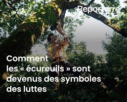 Planète (France/Europe) - Comment les «écureuils» sont devenus des symboles des luttes