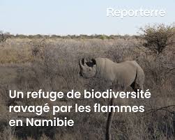Planète (Afrique) - Un refuge de biodiversité ravagé par les flammes en Namibie