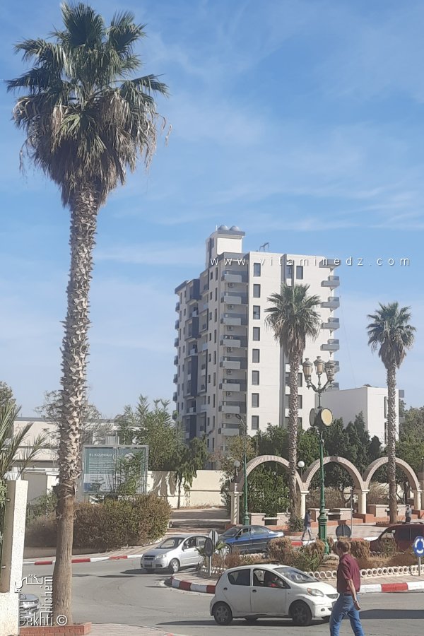 La Promotion Immobilière en Hauteur : Des Tours qui Poussent comme des Champignons à Alger, Oran et Tlemcen