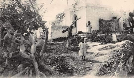 Le Cimetière Sidi Filali d'Oran : Un Sanctuaire Privé des Familles Turco-Kouloughlies