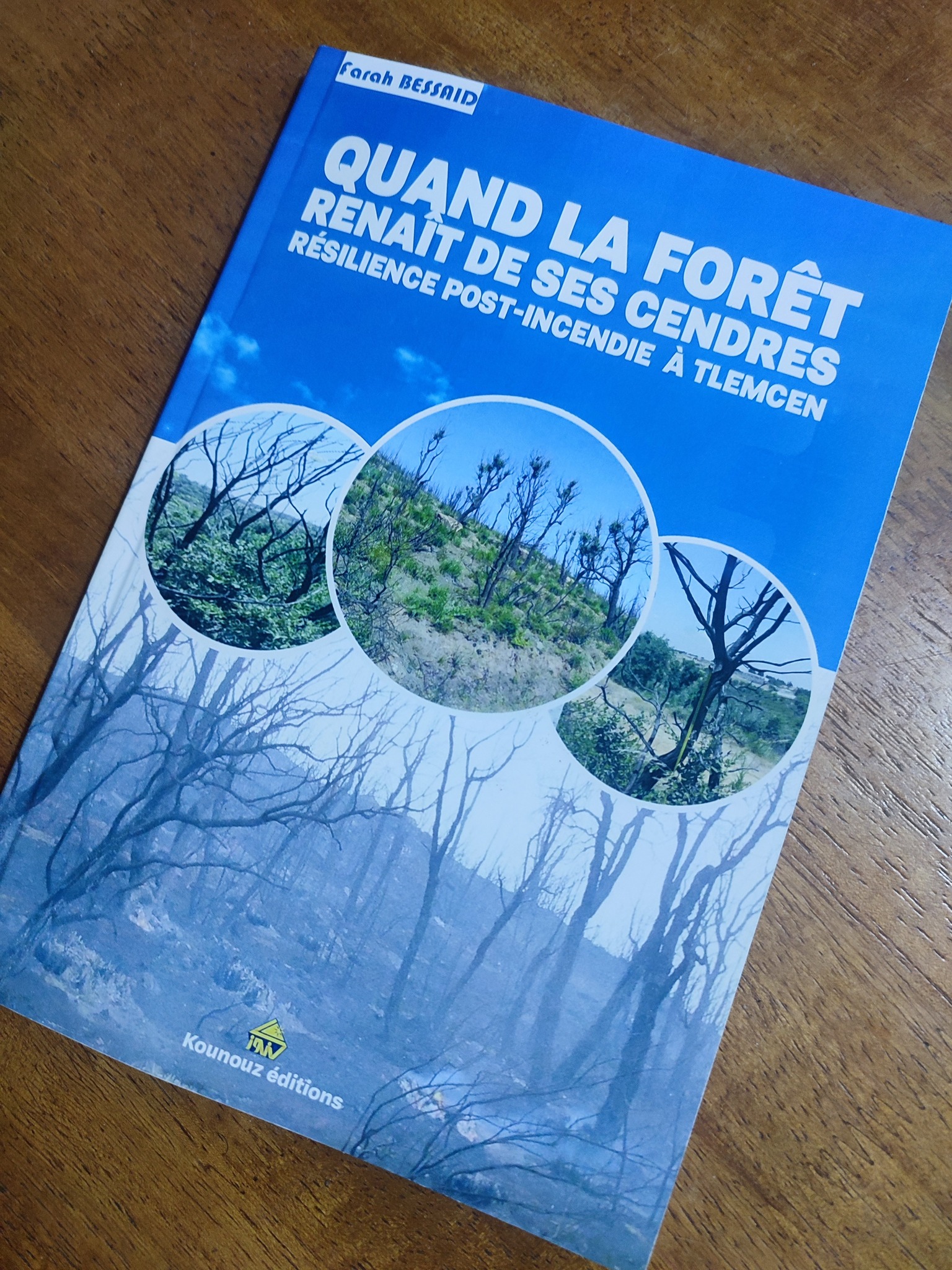 Quand la forêt renaît de ses cendres — Résilience post-incendie à Tlemcen