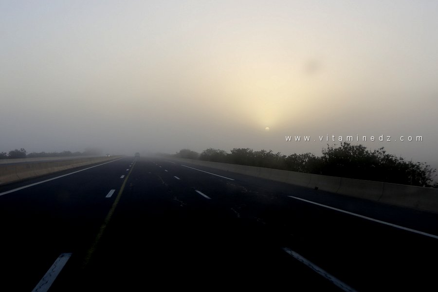 القيادة الآمنة في الضباب على الطريق السيّار 🌫️