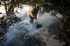 Planète (Brésil/Amérique du Sud) -  Face aux feux en Amazonie, les autochtones deviennent sapeurs-pompiers