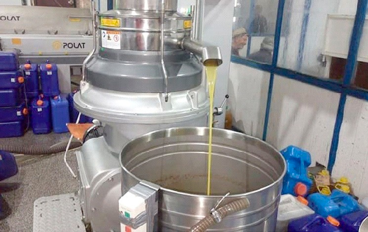 Algérie (Wilaya de Tizi Ouzou) - 114 huileries modernes opérationnelles: La production de l’huile d’olive, un créneau en expansion