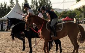 Algérie (Chlef)  -  Réouverture du centre équestre