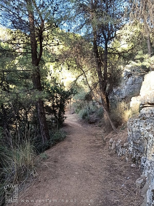 Les Sentiers Pédestres de Tlemcen