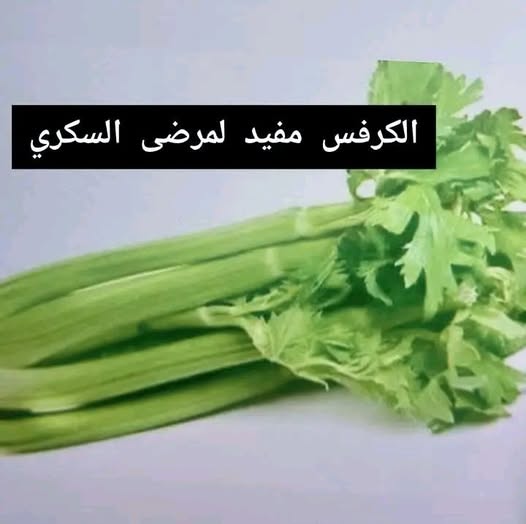 فوائد الــكــرفــس