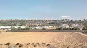 Algérie (Wilaya de Mostaganem) - Opération de récupération des terres agricoles abandonnées