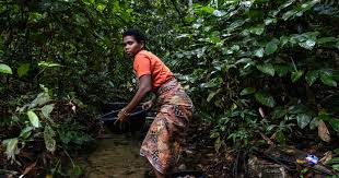 Planète (Asie) - Les derniers chasseurs-cueilleurs de Thaïlande revendiquent leur droit aux terres