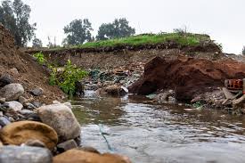 Algérie (Tizi Rached/Tizi Ouzou) - «Tout ce qui se trouve dans l’eau va mourir»:  les déchets de la production d’huile d’olive polluent les fleuves
