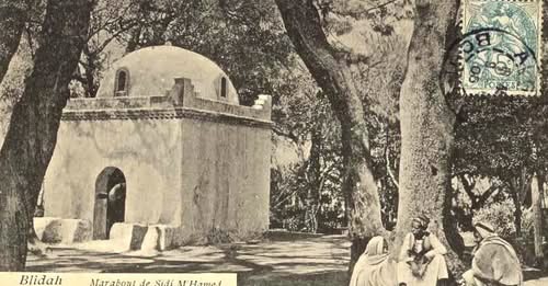 مرابط (مُرابِط): الأصل اللغوي والدلالات التاريخية والثقافية للاسم العائلي