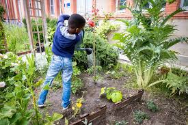 Planète (France/Europe) - Les potagers scolaires transforment la relation des enfants au vivant, montre une étude