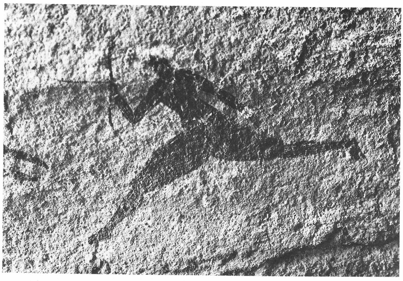 صدور كتاب هام حول الفن الصخري في التيفيدست: تاريخ ما قبل التاريخ في الأهقار – الفن الصخري في التيفيدست