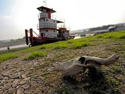 Planète (Brésil/Amérique du Sud) - Les rivières d’Amazonie à leur niveau le plus bas depuis 121 ans