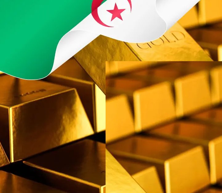 قانون المالية 2026: تنظيم جديد لتجارة الذهب والفضة والبلاتين في الجزائر