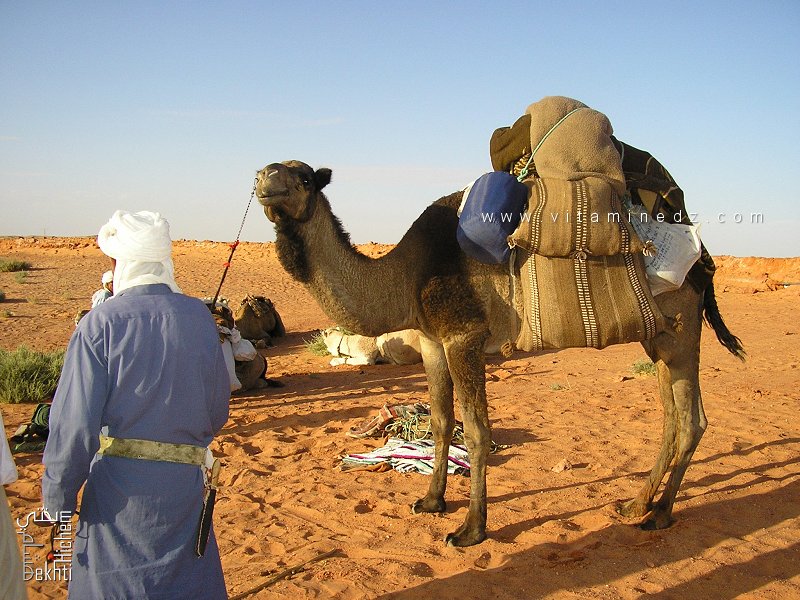 Le Tanezrouft : la terre de la soif au cœur du Sahara