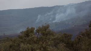 Planète (Océanie) - Incendies en Australie: les autorités déclarent l'état de catastrophe dans le sud-est du pays